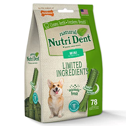Nylabone Nutri Dent Dog Dental Treats Natural Dog Teeth Cleaning