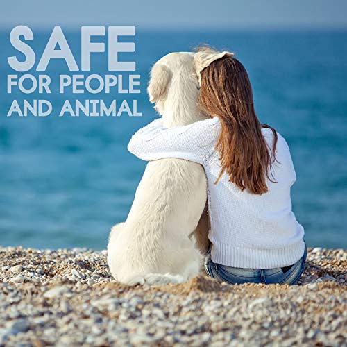 image for GROTAUS Flea and Tick Collar for Dogs - Safe and Effective Flea and Ti