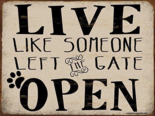 Funny Dog Signs ~ Live Like Someone Left the Gate Open ~ Metal 9 x 12 inches ~ USA Made ~ Dog Lover, Walker, Sitter, Veterinarian, Groomer, House, Doggie Daycare, Decor & Gifts (RK1015HP_9x12)