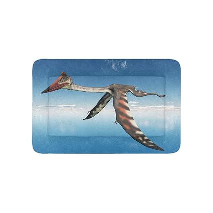 Amazon Com Sensitive Pterosaur Extra Large Bedding Soft Pet Dog