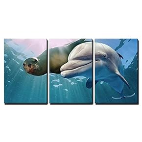 Dolphin and Sea Lion Underwater on Ocean Background...