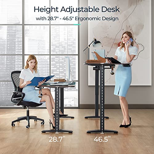 LINSY HOME Height Adjustable Electric Standing Desk for Home Office