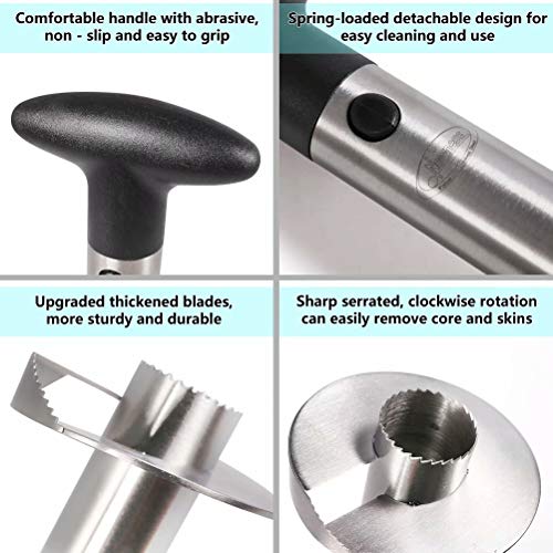 4 Pineapple+Reinforced+Newness+Stainless+Steel