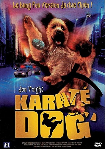 Karaté Dog