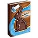DOVE Milk Chocolate Solid Easter Bunny, 12 Ounce