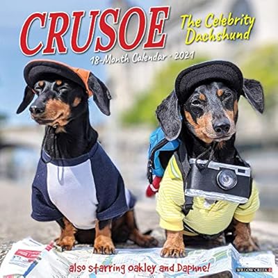 Crusoe the Celebrity Dachshund 2021 Wall Calendar Nigeria Ubuy
