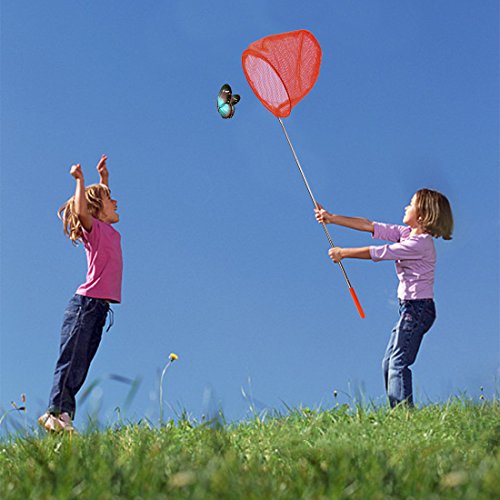 6 DEWEL+Telescopic+Butterfly+Catching+Extendable