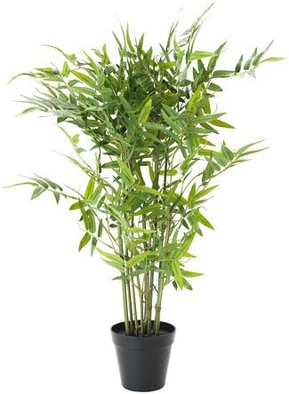 Ikea Fejka Kunstliche Topfpflanze Bambus 12 Cm Amazon De Garten