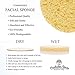 Face Sponges - Compressed Cellulose Facial Sponges - Cosmetic Sponges for Facial Cleansing - 100% Natural & Biodegradable (50 Count/Yellow) - Charleston RoadsTM