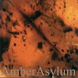FROZEN IN AMBER                                    image