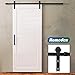 Homedex 6 FT Sliding Barn Door Hardware Kit - Heavy Duty Sturdy- Smoothly and Quietly - Easy to install - Fit 36