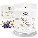 Pet Odor Eliminator Candle Lavender and Chamomile Scented Candle, Pet Candles Odor Eliminator, Soy Wax Calming Candles Aromatherapy, Dog & Cat Friendly Air Fresheners by Gerrard Larriett