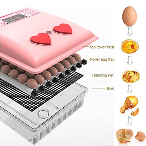 WISKEO Süß Inkubator Eier Automatisch Drehen, Brutmaschine Vollautomatische, Brutkasten mit LED Temperaturanzeige… – Bild 4