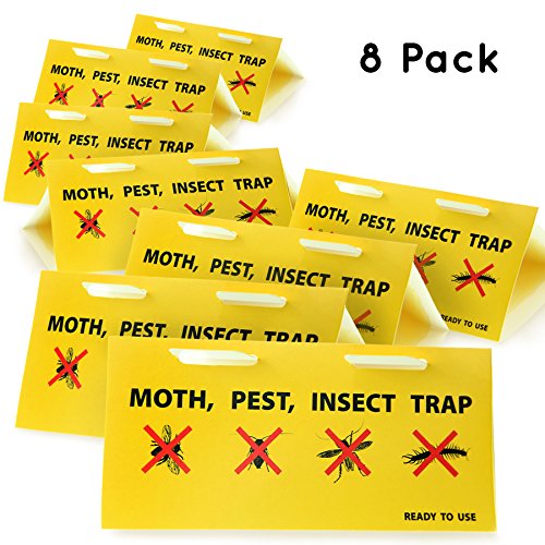 8 Pack Insect Or Pantry Moth Traps Also Effective Against General