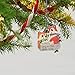 Hallmark Keepsake Christmas Ornament 2019 Year Dated Clever Sisters Foxes