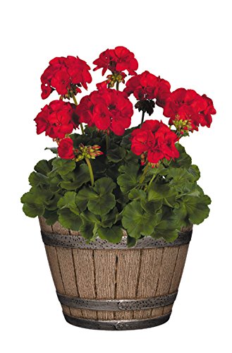 1 Whiskey+Planter+Distressed+Durable+construction