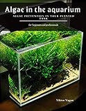 Algae in the aquarium: Algae prevention in your