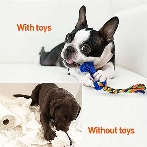 shuny 5 Pack Puppy Teething Chew Toys for Small Dogs,Durable Puppy Biting Toys for Teeth Cleaning with Rope and Food Treat Dispensing Ball