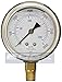 NEW STAINLESS STEEL LIQUID FILLED PRESSURE GAUGE WOG WATER OIL GAS 0 to 3000 PSI LOWER MOUNT 0-3000 PSI 1/4" NPT 2.5" FACE DIAL FOR COMPRESSOR HYDRAULIC AIR TANK primary