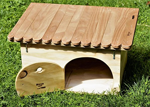 Casetta Per Letargo Tartaruga Di Terra