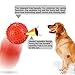Dog Squeaky Toys Jakpak Durable Rubber Squeaky Ball for Dogs Non Toxic Silicone Chew Resistant Fun Toy with Quack Sound Floatable Dog's Sound Toy for Animal Training Biting Outside Playing,Red