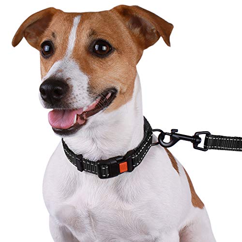 CollarDirect Reflective Dog Collar, Safety Nylon Collars for Dogs with
