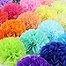 Fecedy® 15pcs Mixed Colors Tissue Paper Pom-poms Flower Ball for Wedding and Party and Outdoor Decorate