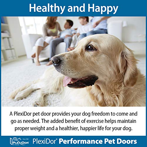 PlexiDor Performance Pet Doors for Dogs and Cats Wall Mount Dog Door with Lock and Key