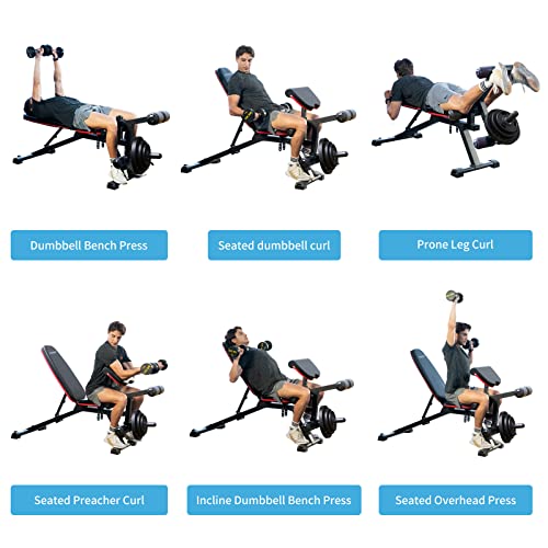 HARISON Adjustable Weight Bench with Leg Extension and Preacher Pad