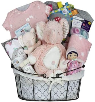 amazon new baby gift basket