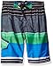 Kanu Surf Boys Quick Dry UPF 50+ Beach Swim Trunk, Viper Black/Blue/Green, 14/16