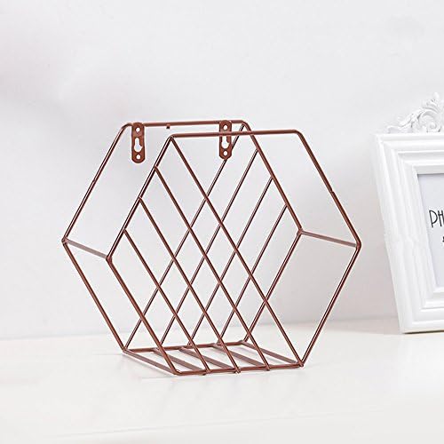 Doremy Magazine File Holder Wall Mounted Hexagon Decorative Bedside Storage Organizer for Magazines Books Newspaper Tablets Remotes in Bathroom Restaurant Office Family Room (Gold)