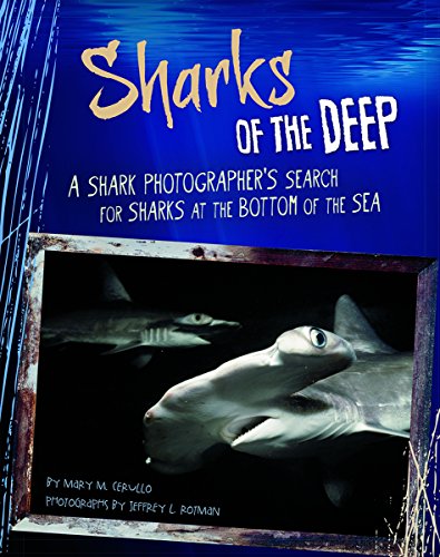 Sharks of the Deep: A Shark Photographer's Search for Sharks at the Bottom of the Sea (Shark Expedition)