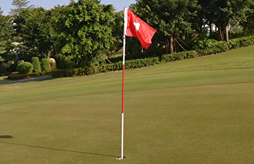 A99 Golf Practice Portable Flag & Cup Hole Pole Cup Flag Stick Putting Green Flagstick (Flag #1)