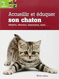 Accueillir et éduquer son chaton