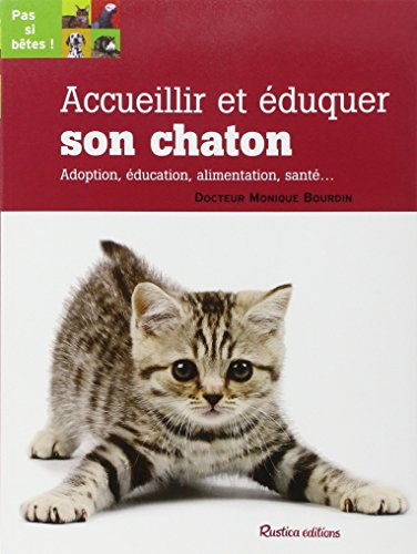Accueillir et éduquer son chaton