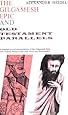 The Gilgamesh Epic and Old Testament Parallels (Phoenix Books)