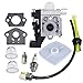 HUZTL Carburetor with Repower Maintenance Kit Spark Plug for ECHO GT225 GT225i GT225L PAS225 PE225 PPF225 SHC225 SRM225 SRM225U Trimmer