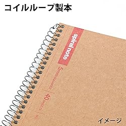 Maruman N246ES Ring Notebook, 0.2 inch (5 mm), Grid