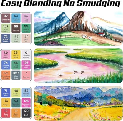 Alcohol Markers Colors, 262 Colors Double Tip Art with Carrying Case, Illustration and Hand Lettering, Non Toxic and Quick Dry, Kids Family Art Painting, Students Gift