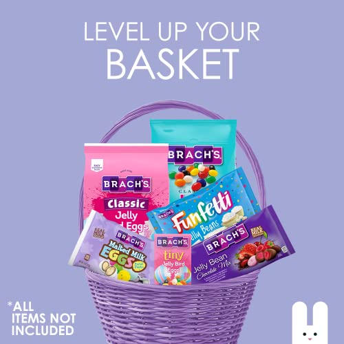 Brach's Jelly Bean Chocolate Mix Bag of FruitFlavored Jelly Beans Dipped in Real Milk