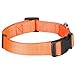 Blueberry Pet Essentials Florence Orange Adjustable Nylon Dog Collar for Medium Dogs, Classic Solid Color Pet Safety & Style for Medium Dogs