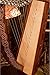 Pixie Harp Tm, 19 Strings