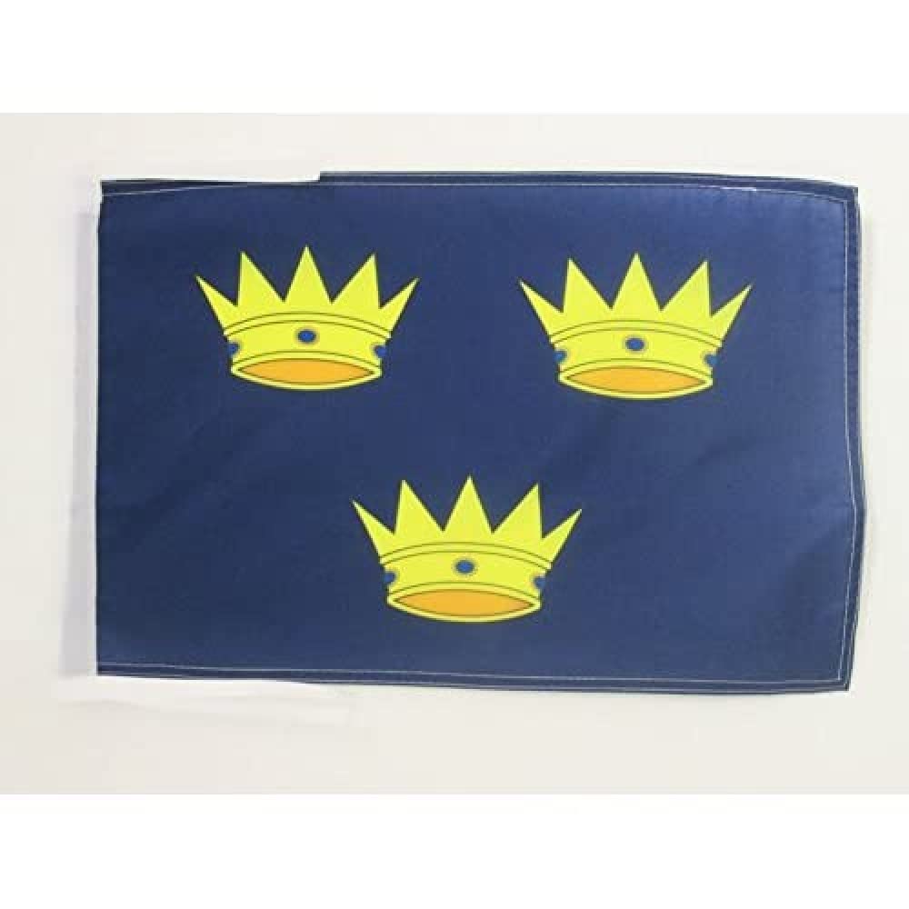 AZ FLAG - Munster Flag - 18'' x 12'' - 100% Polyester Province of Ireland Small Banner with Two Cords - Fade Resistant - Vivid Colors - 18x12 in - 45x30 Cm