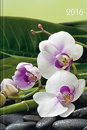 Lady-Timer Orchideen 2016 Lady-Timer Orchideen 2016