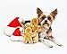 Midlee Christmas Sugar Cookie Plush Dog Toy (Christmas Tree, Large)- Squeaky Holiday Pet Gift Toy