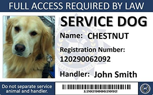 Custom Service Dog ID Card Badge with Holographic Overlay for Security and Card Protection