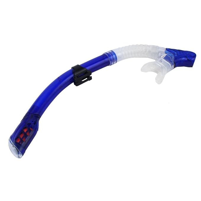 Amazon.com : eDealMax plástico Submarino Equipo de Natación de apnea Snorkel tubo de respiración de aire tubo respirador del Salto : Sports & Outdoors