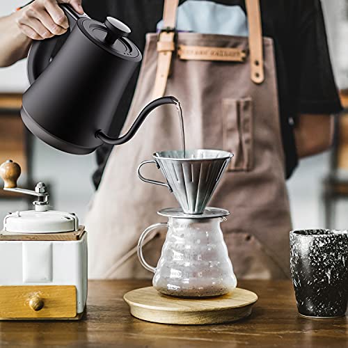 Gooseneck Electric Kettle with 6 Various Temperature Control, 100