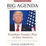Big Agenda: President Trumps Plan to Save America